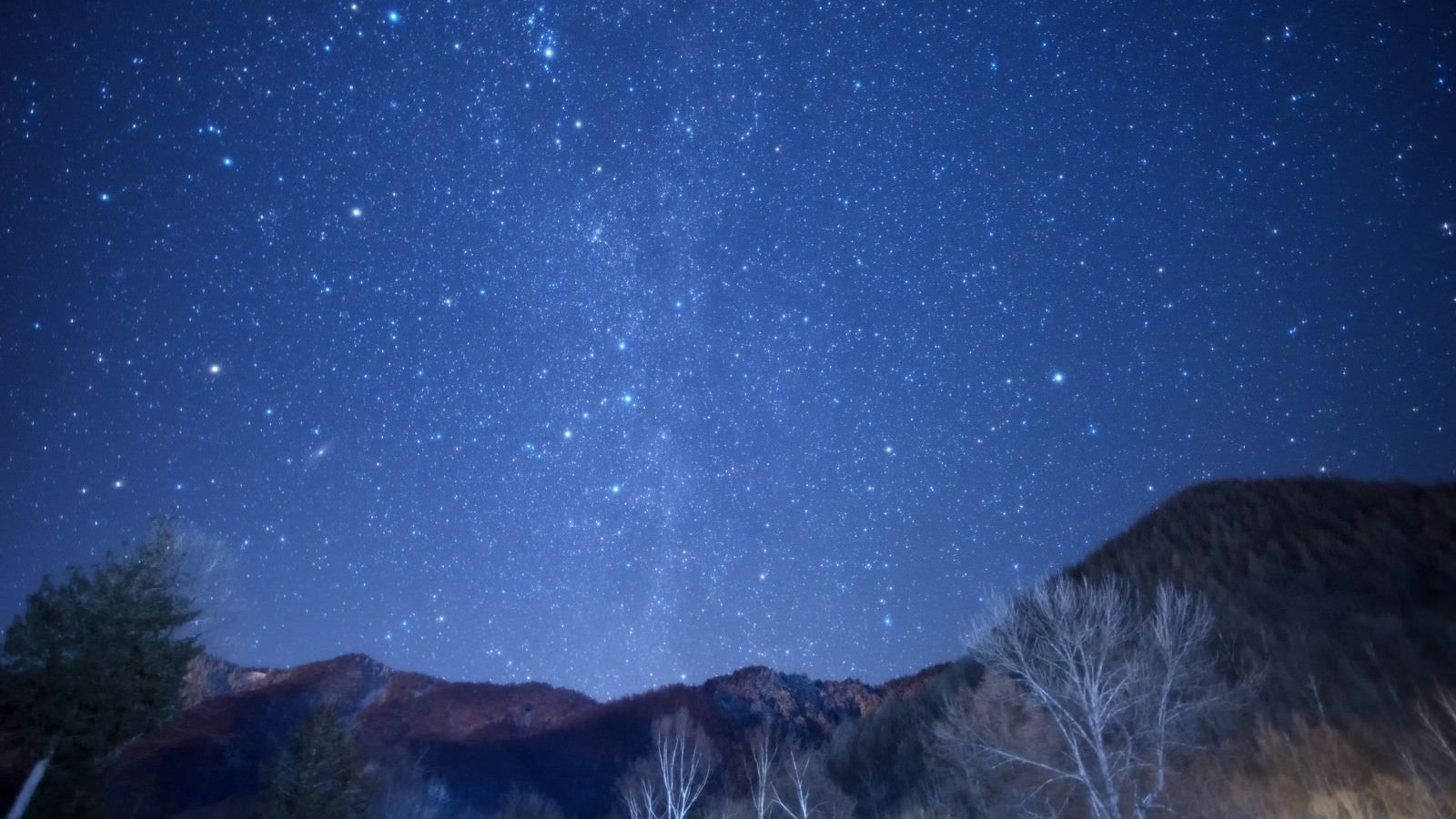 スターチャート