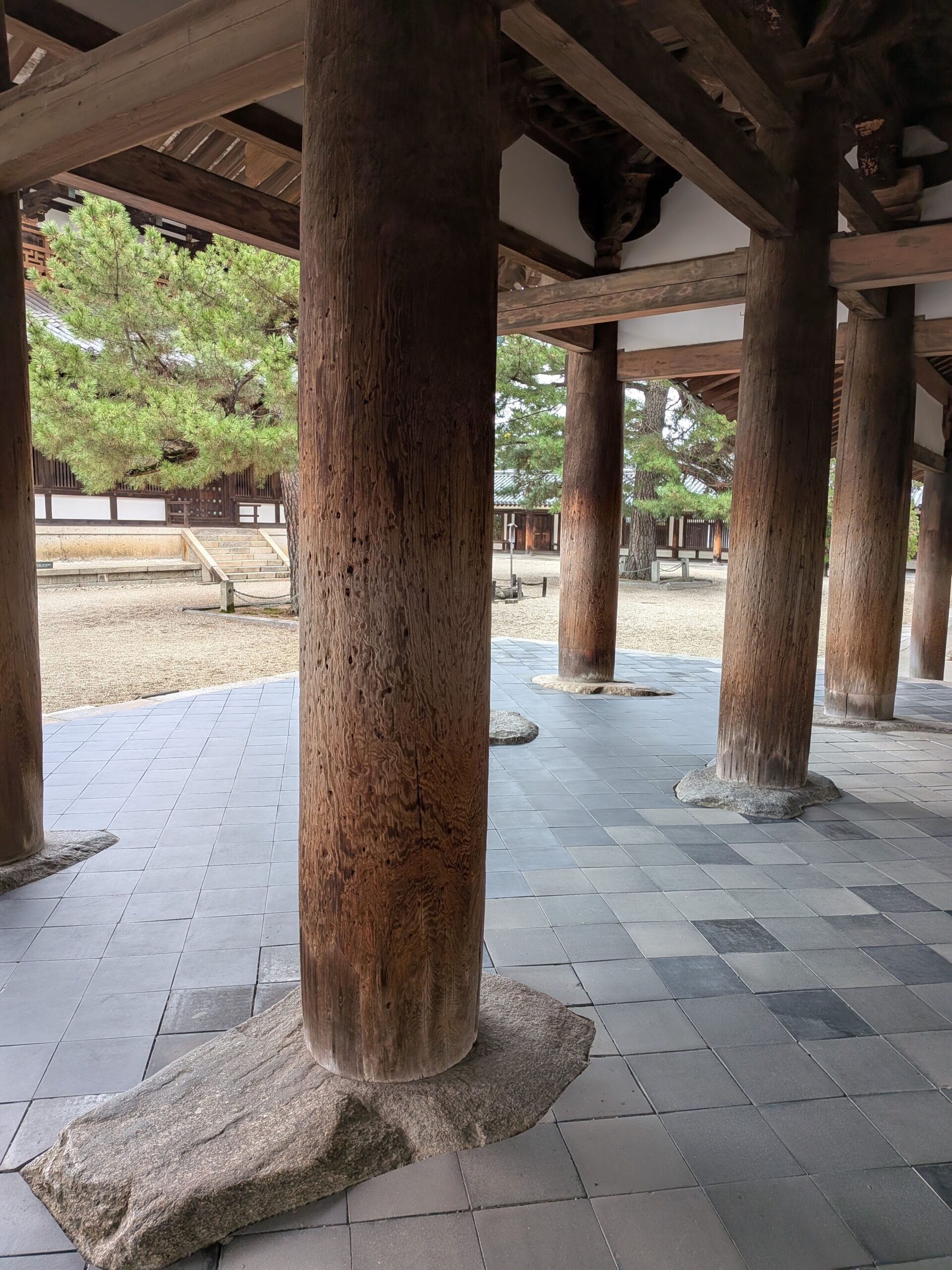 法隆寺は、地中深くに根を張った木の「文化」